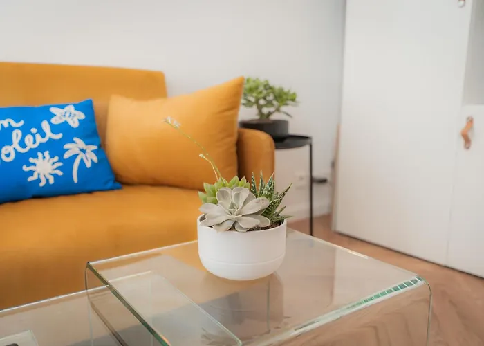 Apartamento Superbe 2 Pieces Centre-ville *